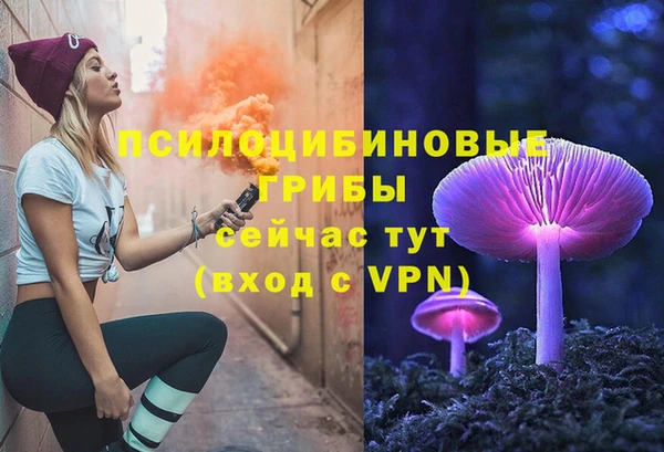 PSILOCYBIN Вяземский